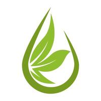 Leaf icon logo design vector