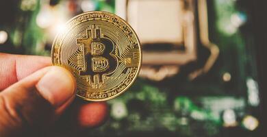 close-up hand of a businessman holding a gold bitcoin photo