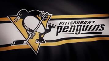 Verenigde Staten van Amerika - nieuw york, 12 augustus 2018. golvend vlag met Pittsburgh pinguïns nhl hockey team logo. detailopname van golvend vlag met Pittsburgh pinguïns nhl hockey team logo, naadloos lus. redactioneel beeldmateriaal video