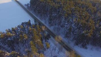 ett bil körning genom de vinter- skog på Land väg. topp se från Drönare. antenn se av en väg genom de skog hög upp i de bergen i de vinter- med snö täckt träd video