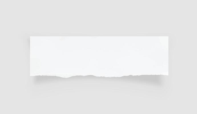 Torn paper edges. Ripped paper texture. Paper tag. White paper sheet for background with clipping path. Vector.