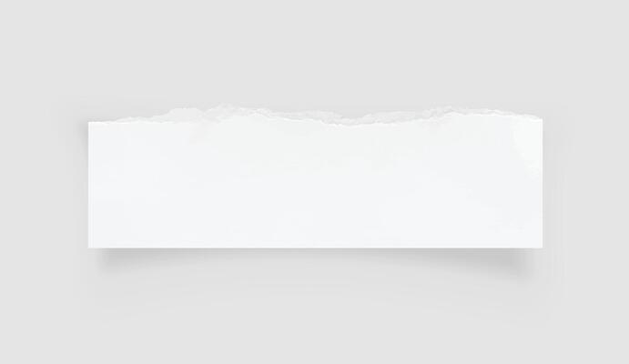 Torn paper edges. Ripped paper texture. Paper tag. White paper sheet for background with clipping path. Vector.