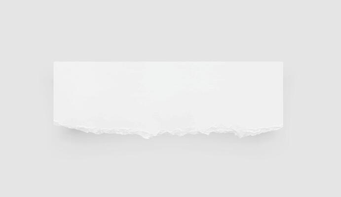 Torn paper edges. Ripped paper texture. Paper tag. White paper sheet for background with clipping path. Vector.