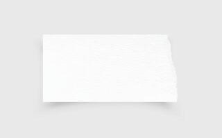 Torn paper edges. Ripped paper texture. Paper tag. White paper sheet for background with clipping path. Vector. vector