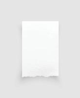 Torn paper edges. Ripped paper texture. Paper tag. White paper sheet for background with clipping path. Vector. vector