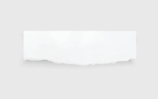 Torn paper edges. Ripped paper texture. Paper tag. White paper sheet for background with clipping path. Vector.