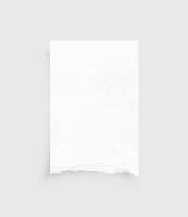 Torn paper edges. Ripped paper texture. Paper tag. White paper sheet for background with clipping path. Vector. vector