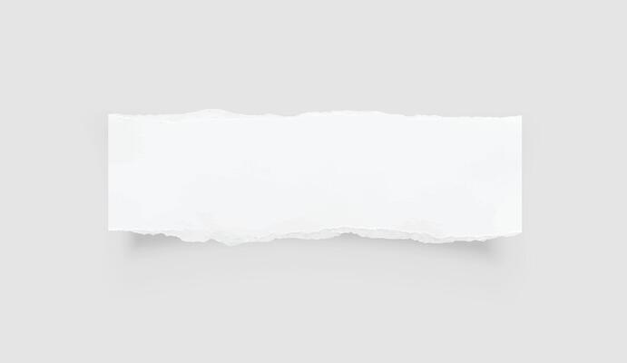 Torn paper edges. Ripped paper texture. Paper tag. White paper sheet for background with clipping path. Vector.