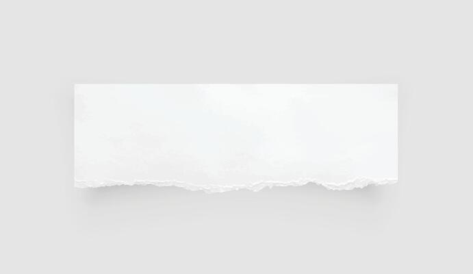 Torn paper edges. Ripped paper texture. Paper tag. White paper sheet for background with clipping path. Vector.