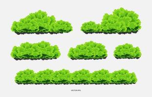 a set of different trees and bushes vector