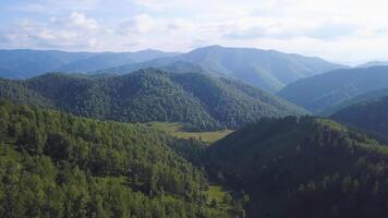 volador terminado el hermosa montaña río y hermosa bosque. acortar. aéreo cámara disparo. paisaje panorama. altai, Siberia. aéreo vista. vuelo terminado un verde herboso rocoso sierras. altai montañas video