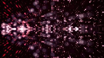 Lights colorful bokeh background. Elegant colorful abstract. Disco background with circles and stars. Disco lights illuminate foliage, plants. Animation of rotation magical and colorful waves with video