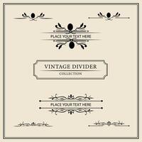 Vintage ornamental frames and labels collection. Decorative elements for design. vector