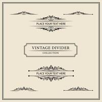 Vintage ornamental frames and labels collection. Decorative elements for design. vector