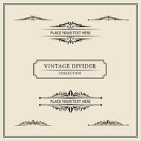 Vintage ornamental frames and labels collection. Decorative elements for design. vector