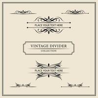 Vintage ornamental frames and labels collection. Decorative elements for design. vector