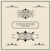 Vintage ornamental frames and labels collection. Decorative elements for design. vector