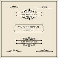 Vintage ornamental frames and labels collection. Decorative elements for design. vector