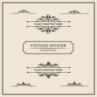 Vintage ornamental frames and labels collection. Decorative elements for design. vector