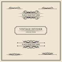 Vintage ornamental frames and labels collection. Decorative elements for design. vector