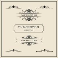 Vintage ornamental frames and labels collection. Decorative elements for design. vector