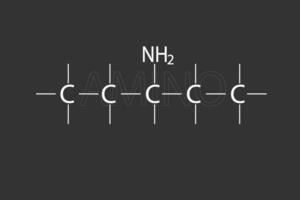 Amino molecular skeletal chemical formula vector