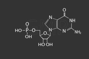 GMP molecular skeletal chemical formula vector