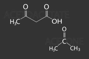 Acetoacetate or acetone molecular skeletal chemical formula vector