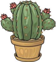 cartoon style cactus drawing without background vector