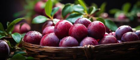 AI generated Elegant arrangement of plums in a rustic wooden bowl on a wooden table. photo