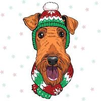 dog Airedale Terrier in christmas hat vector