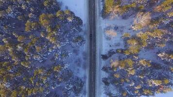 uno auto guida attraverso il inverno foresta su nazione strada. superiore Visualizza a partire dal drone. aereo Visualizza di un' strada attraverso il foresta alto su nel il montagne nel il inverno con neve coperto alberi video