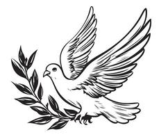 Dove sketch hand drawn Vector illustration