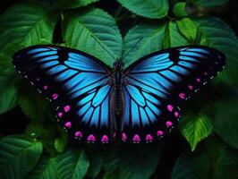 AI generated a large colored butterfly sitting on leaves, a beautiful insect in its natural habitat photo