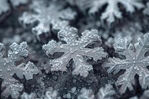 AI generated Winter frosty decorative background. Winter snowflake texture photo