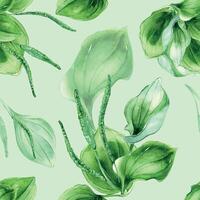 plantago de hoja ancha medicinal planta acuarela sin costura modelo aislado en pastel antecedentes. plátano, verde hojas, hierba, psyllium mano dibujado. diseño para textil, paquete, fondo de pantalla, envase vector