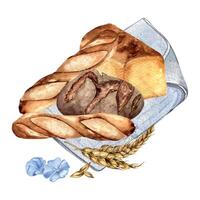 Watercolor composition of rye bread on napkin isolated on white background. Hand drawn illustration variety of bread for bakery. Painted baguette. Element for design bakeshop, signage, grocery store vector