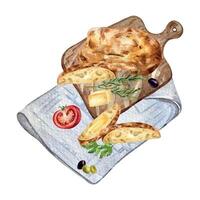 Ciabatta whole on a wooden cutting board watercolor illustration isolated on white background. Hand drawn slice of ciabatta with olives, tomato. Painted bread on napkin. Element for design packaging vector