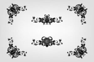 Text separator Baroque decoratice divider book typography ornament design elements vintage dividing shapes Border illustration vector
