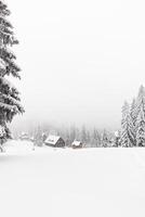 Foggy morning in a snowy landscape in Visalaje, Beskydy mountains in the eastern part of the Czech Republic. White fairy tale in winter months photo