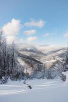 Winter scenery with sun rays reflecting off the glittering snow. Sunrise in a snowy wilderness and woodland. Beskydy mountains, Czech Republic photo