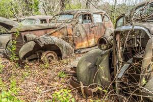 Abandoned cars in the woods photo