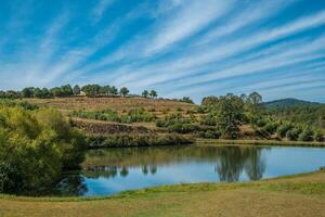 Apple orchard in the mountains photo