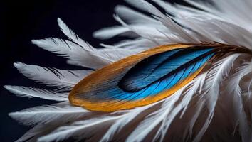 AI generated Beautiful feather, drop of water dark background photo