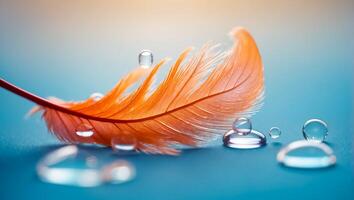 Beautiful feather, drop of water, color background photo