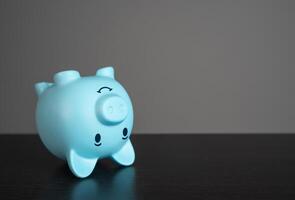 Upside down funny pig piggy bank. Teaching financial literacy through games. Audit and accounting. How to pay taxes. Economic forecasting. Finance guide. Retirement planning. Recreation photo