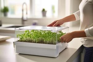 AI generated Woman's hands seed microgreens on kitchen white table corner. Close up Home grown healthy superfood micro greens. Baby leaves sprouts in plastic trays. Urban home microgreen farm photo