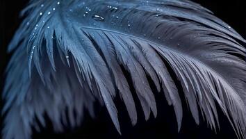 ai generado hermosa pluma, soltar de agua oscuro antecedentes foto