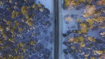 uno auto guida attraverso il inverno foresta su nazione strada. superiore Visualizza a partire dal drone. aereo Visualizza di un' strada attraverso il foresta alto su nel il montagne nel il inverno con neve coperto alberi video