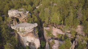 skog och stenar i höst antenn Drönare topp se. antenn se på stenar, sten bildning med skog landskap. klättrande. en grupp av ung klättrare erövra de blast av stenar och bergen video